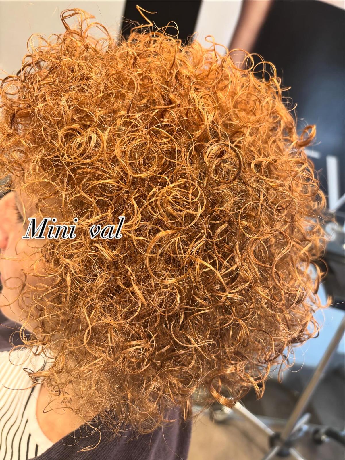 Naša Radost - Client